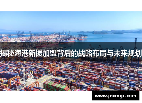 揭秘海港新援加盟背后的战略布局与未来规划