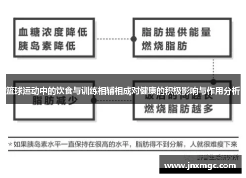 篮球运动中的饮食与训练相辅相成对健康的积极影响与作用分析